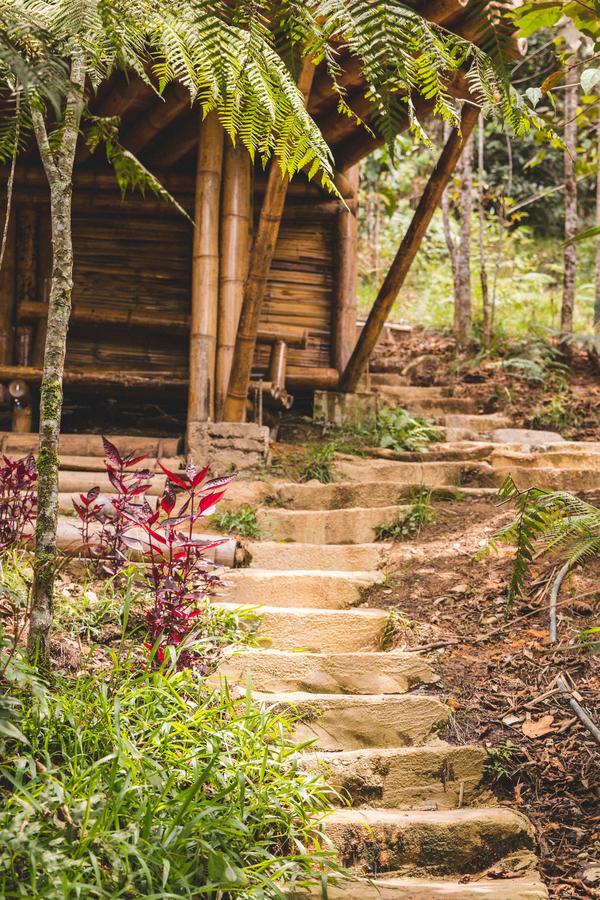 Hotel Guatape Adrianas Bambu Exteriör bild